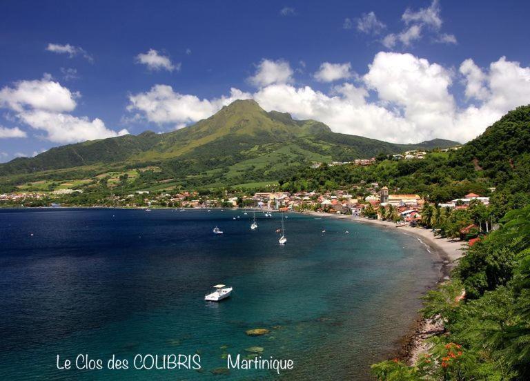 Lodge Colibris Piscine Privee Vue Panoramique Mer Et Montagne Pelee , 500 M Plage Dans Un Parc , Calme Assure Ideal Pour Decouvrir Le Nord Caraibes Le Carbet Exterior photo